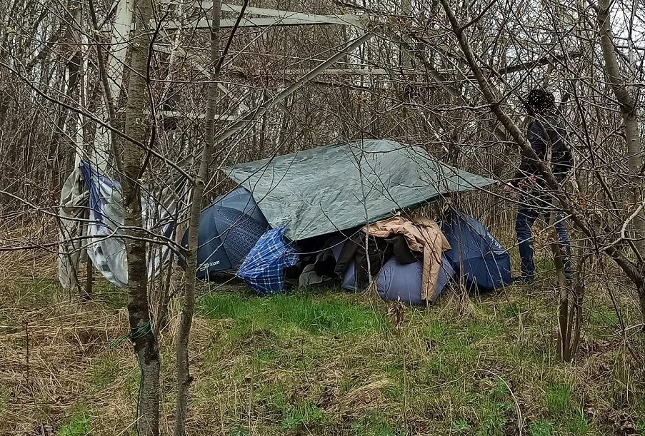 Chciał przechytrzyć policjantów. Ukrywał się w szałasie [zdjęcia] - Zdjęcie główne