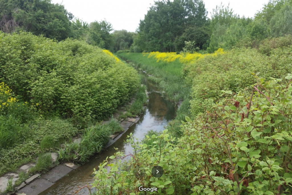 Rzeka Olechówka w Łodzi (fot. Google Maps) |wiadomości łódzkie|Łódź|TuŁódź