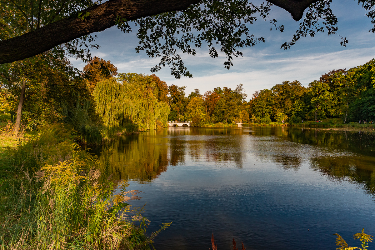 Taki widok zapiera dech w piersiach. Park Julianowski jesienią zachwyca [zdjęcia] - Zdjęcie główne