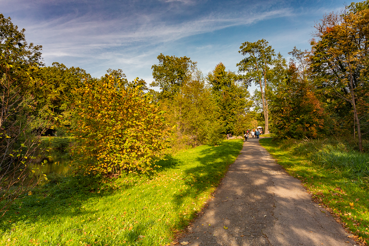 Park Julianowski w Łodzi zachwyca o każdej porze roku, w tym jesienią