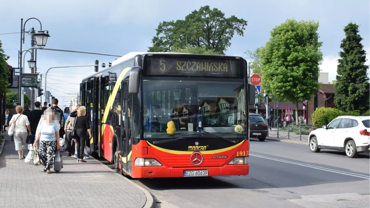 Zmiany w rozkładach jazdy autobusów MUK Zgierz. Zacznie się po Wszystkich Świętych [GALERIA] - Zdjęcie główne