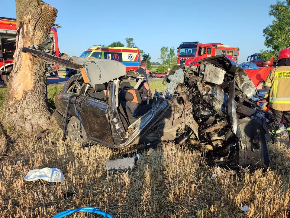 Śmiertelny wypadek pod Ozorkowem. Nie żyje 50-latek [foto] - Zdjęcie główne