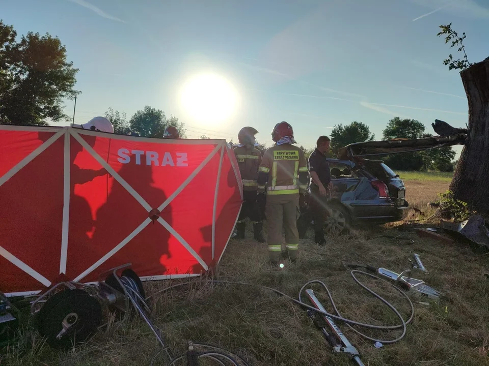 Pod Ozorkowem w wypadku zginął 50-letni mężczyzna