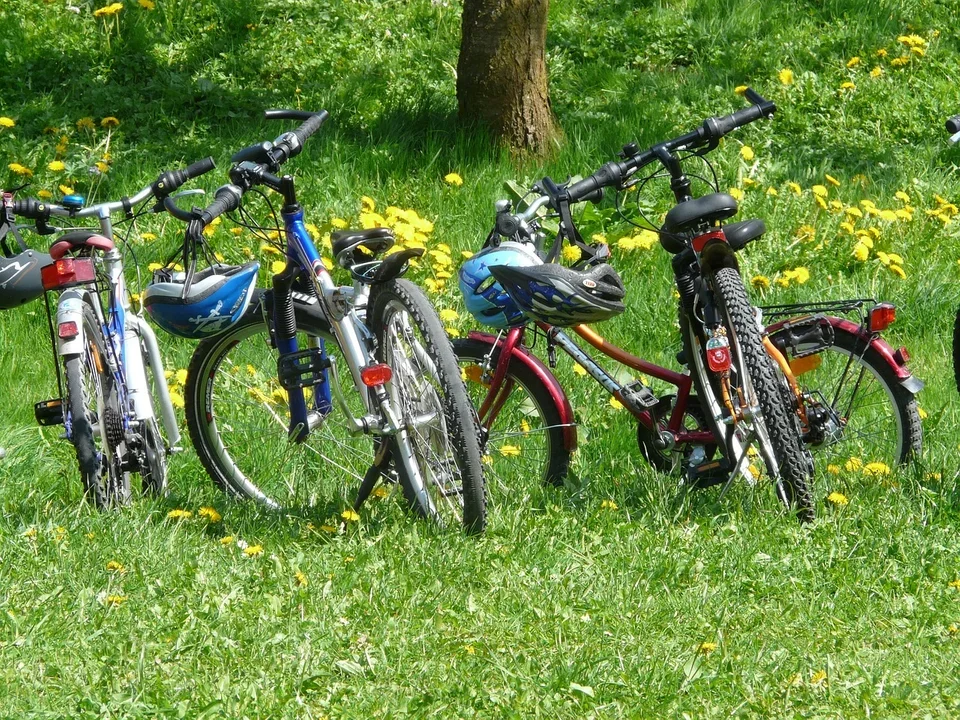 Mandat za jazdę rowerem po Lesie Łagiewnickim? "Może strażnicy sądzili, że niszczymy przyrodę?" - Zdjęcie główne