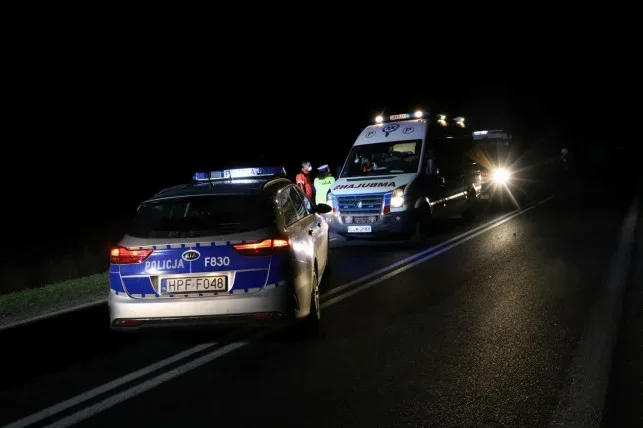 Pożar samochodu osobowego. Akcja na autostradzie A2 - Zdjęcie główne