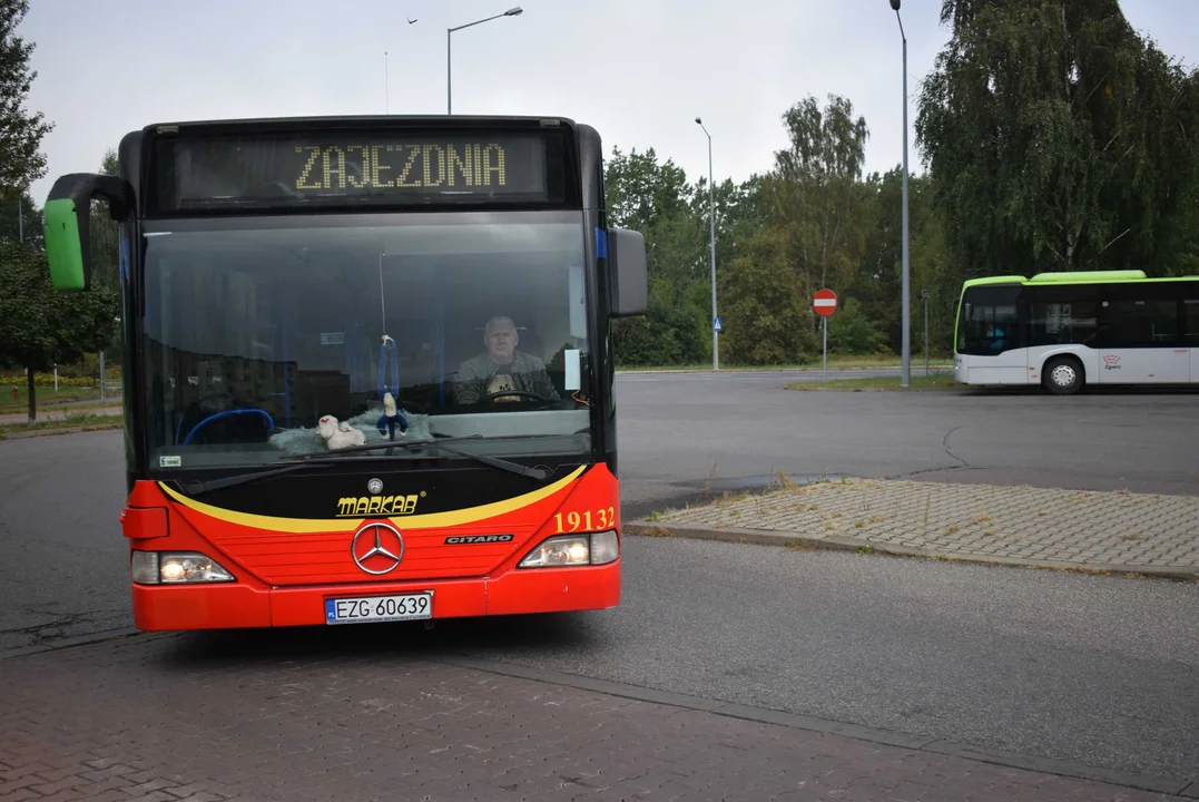 Mieszkańcy powiedzieli, co najchętniej zmieniliby w komunikacji miejskiej w Zgierzu. Znamy wyniki ankiet MUK - Zdjęcie główne