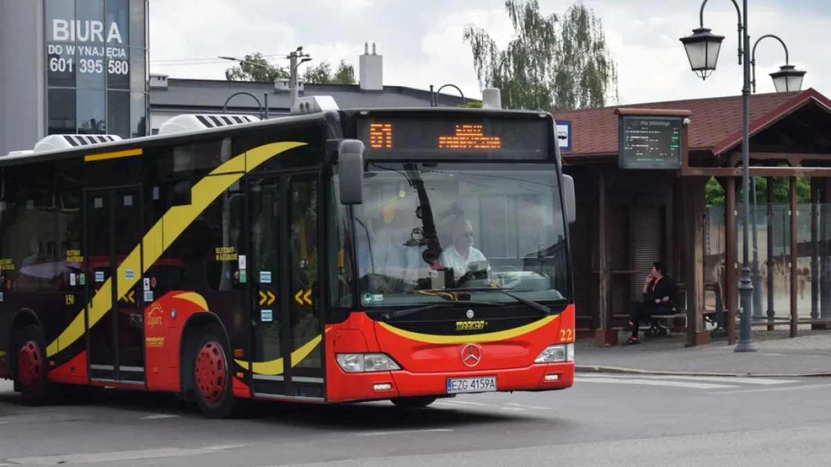 Poszukiwany nowy kierownik MUK Zgierz. To niejedyna praca dla komunikacji w Zgierzu. Ile można zarobić? - Zdjęcie główne