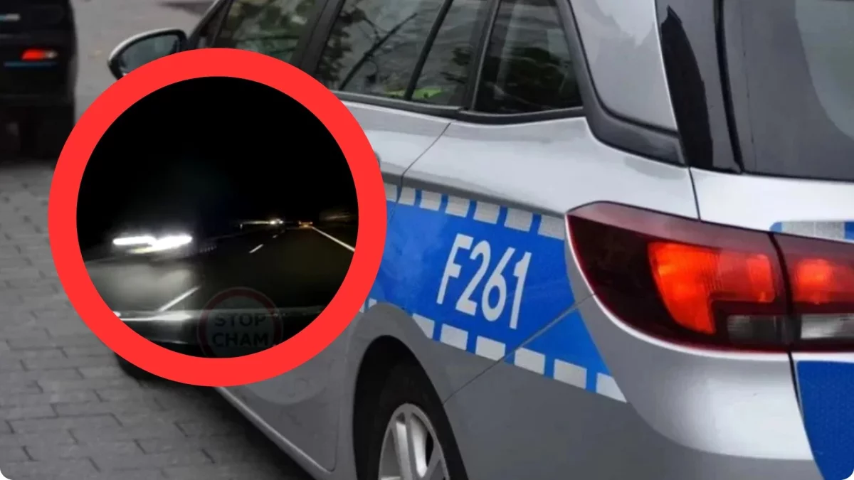 Pościg policji na Stop Cham. Nie uwierzysz, co kierowca BMW zrobił na autostradzie A2 [NAGRANIE] - Zdjęcie główne