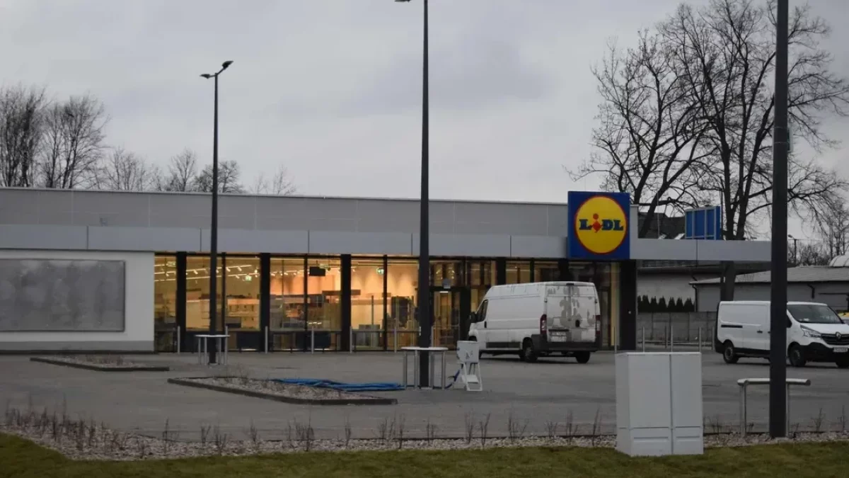 Lidl w Zgierzu szuka pracownika do sklepu. Ile można zarobić? - Zdjęcie główne