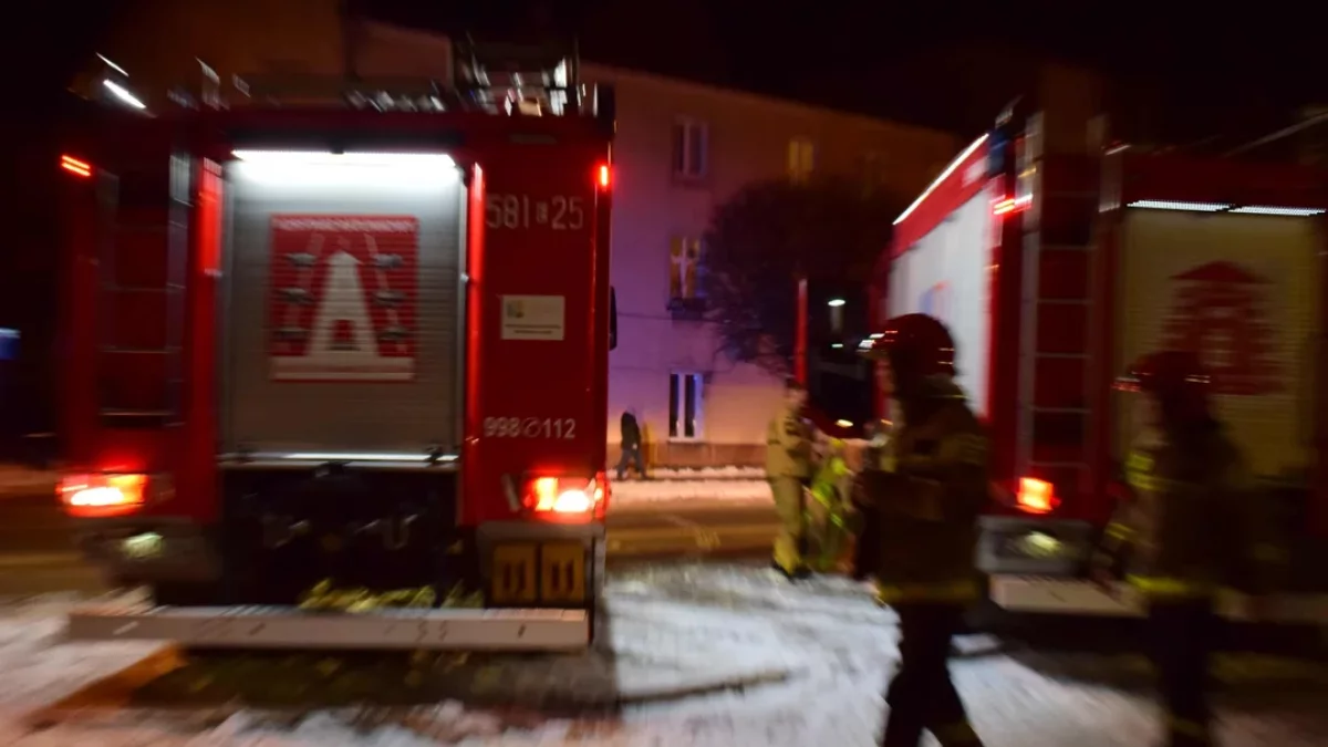 Pożar w powiecie zgierskim. Na miejscu służby ratunkowe - Zdjęcie główne