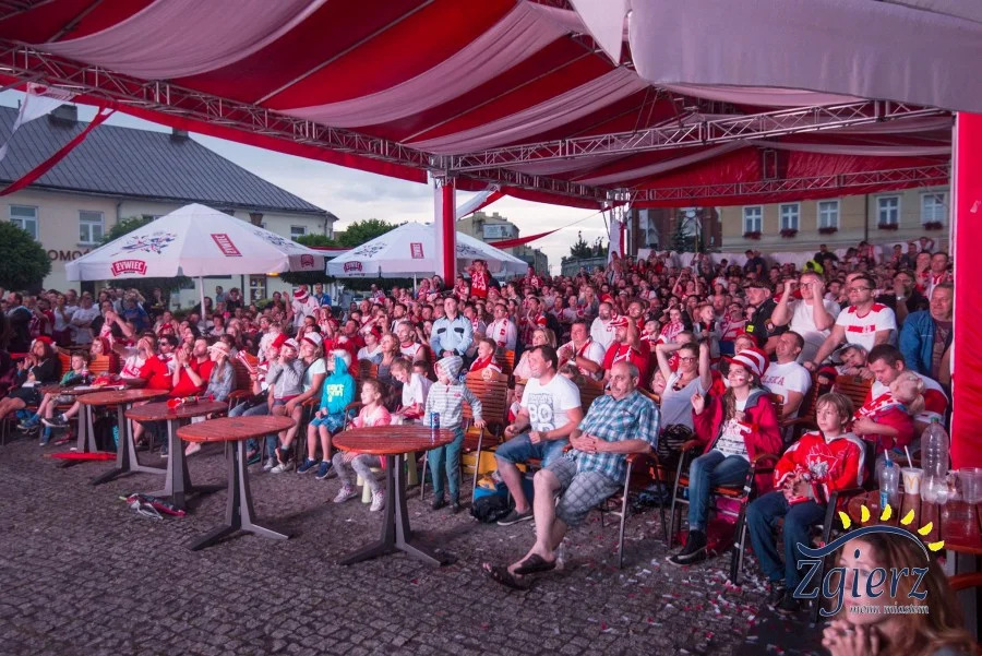 Euro coraz bliżej. Czy w Zgierzu stanie strefa kibica? - Zdjęcie główne