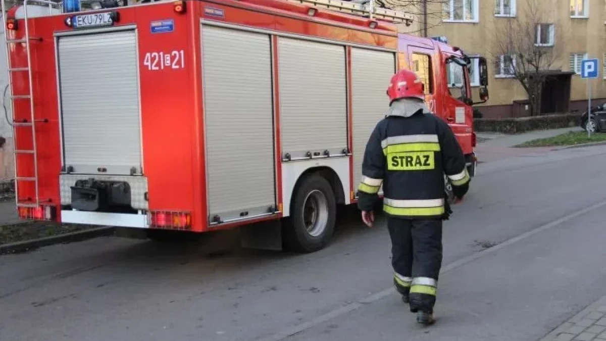 Dwa poważne pożary w powiecie zgierskim. Płonęły budynki mieszkalne - Zdjęcie główne