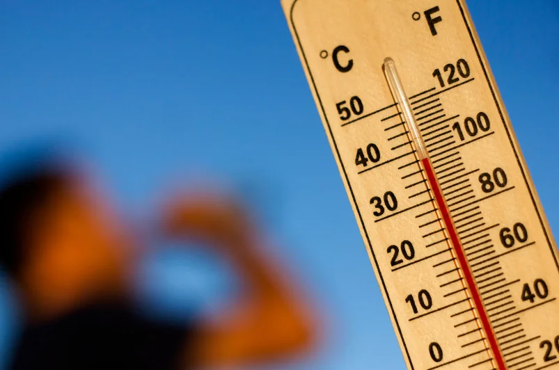 Upały wracają, IMGW ostrzega. Wysokie temperatury w Zgierzu i okolicach  - Zdjęcie główne