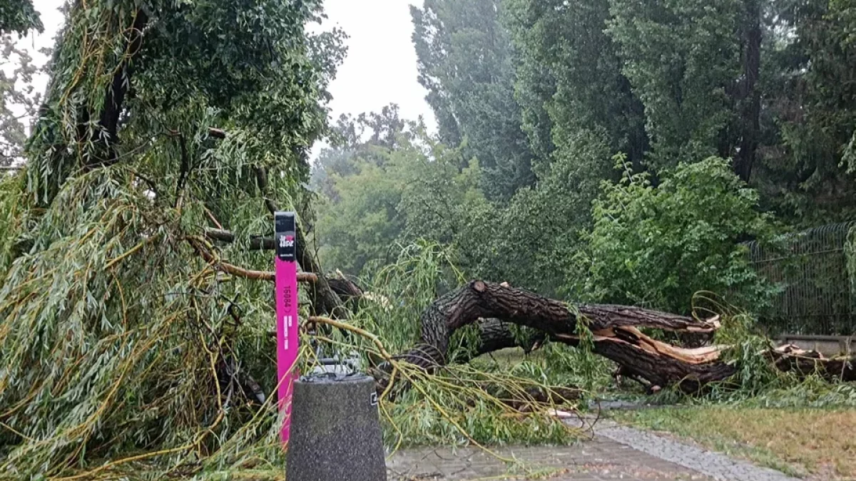 Alert dla województwa łódzkiego. Zacznie się już wieczorem we wszystkich powiatach - Zdjęcie główne