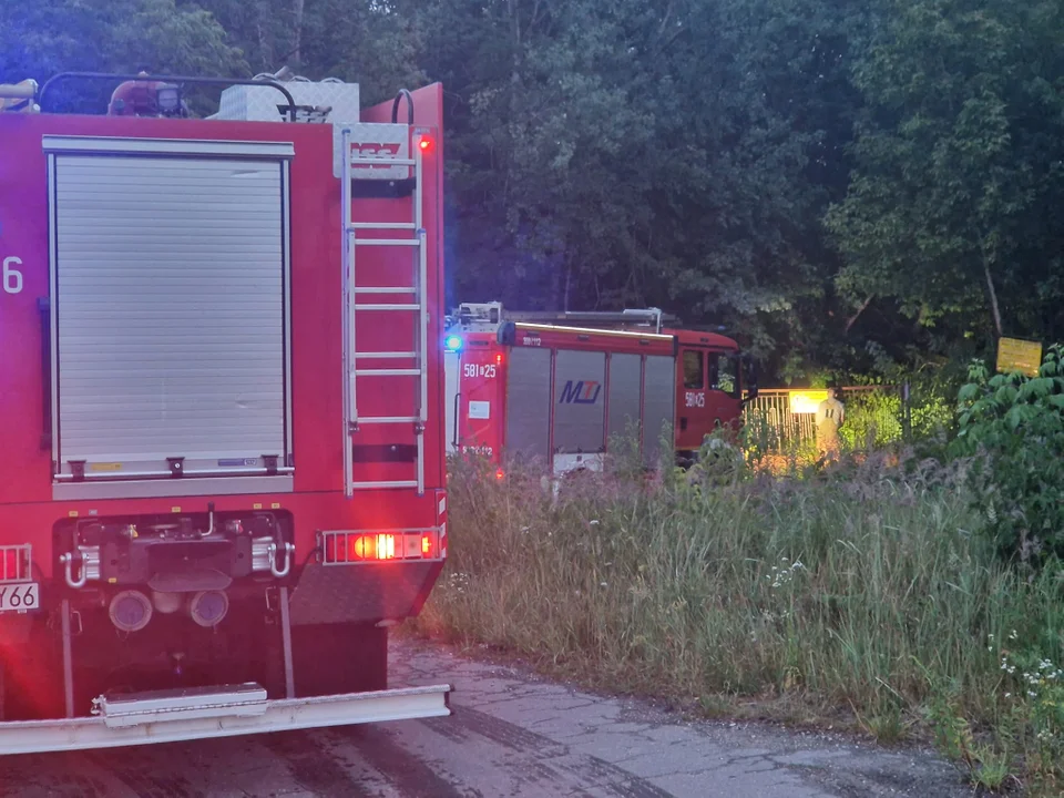 Pożar na składowisku odpadów niebezpiecznych w Zgierzu. Interweniowali strażacy - Zdjęcie główne