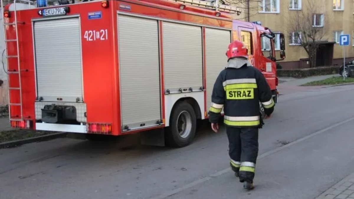 Alarm na placu składowym na Rudunkach w Zgierzu. Wezwano straż - Zdjęcie główne