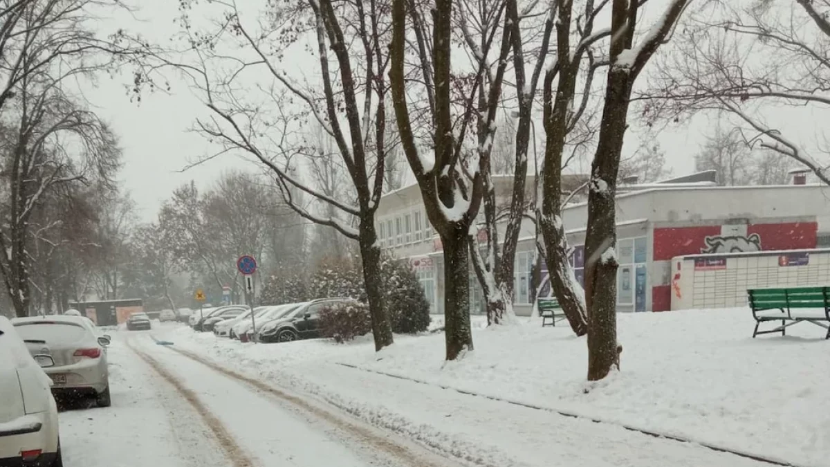 Pogoda na dziś w Zgierzu 6 grudnia. Czy będzie padał śnieg? - Zdjęcie główne