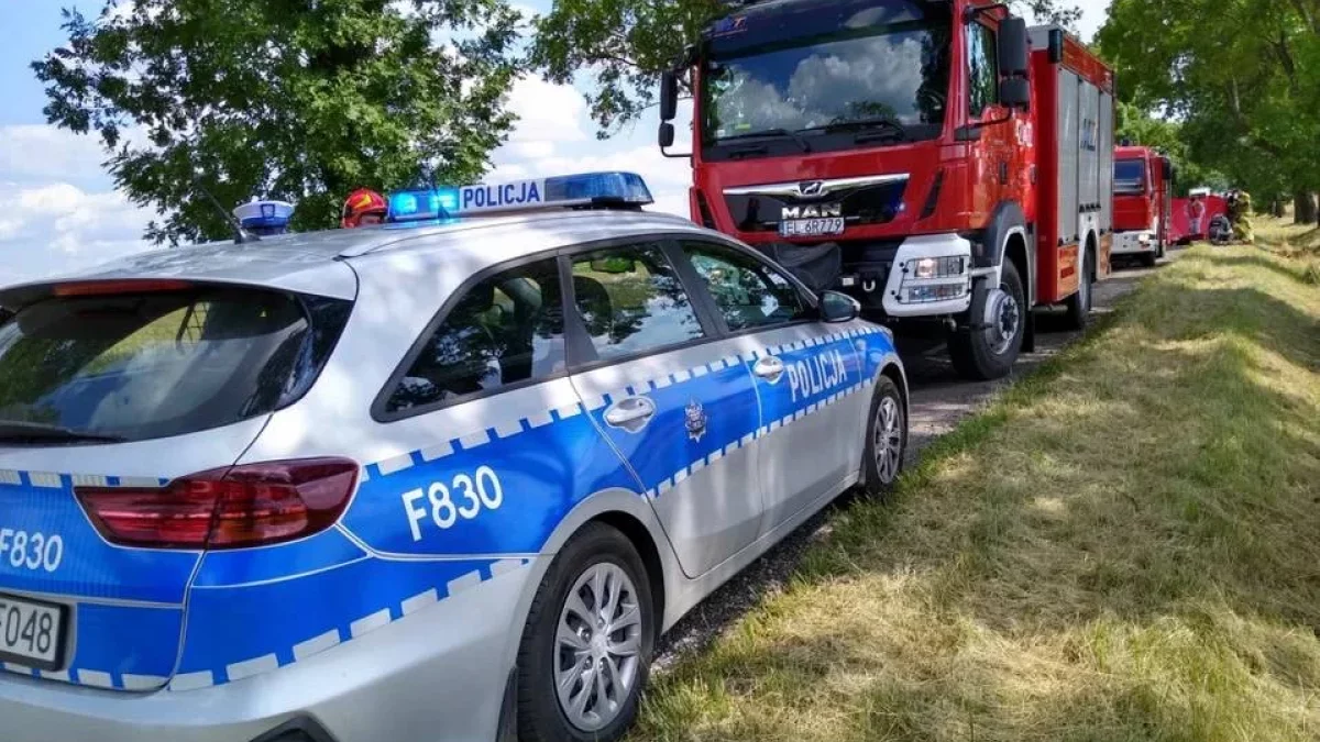 Wypadek na drodze krajowej niedaleko Zgierza. Są ranni - Zdjęcie główne