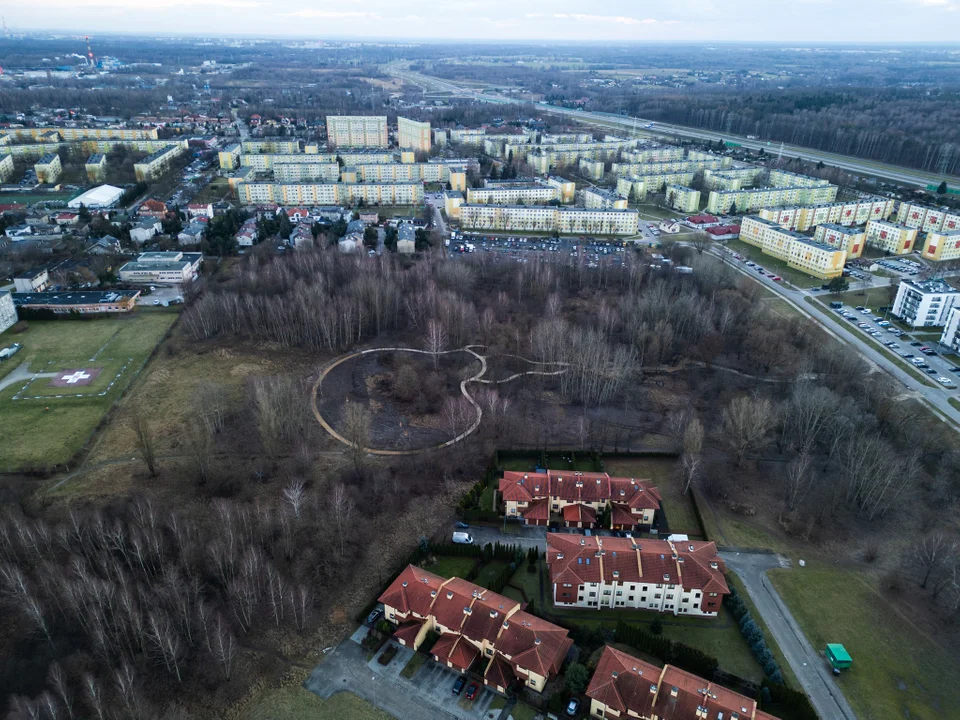 Nowy park w Zgierzu nabiera kształtów. Mieszkańcy komentują [ZDJĘCIA] - Zdjęcie główne