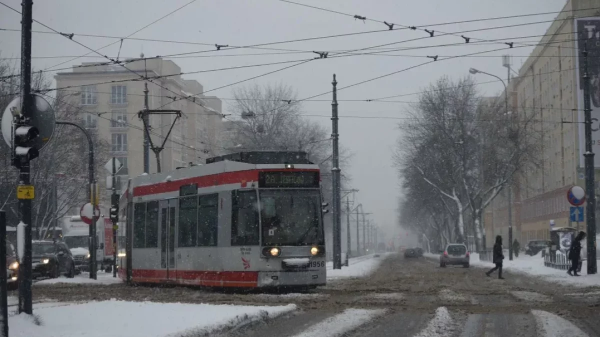 Drastyczna zmiana pogody w Łódzkiem. Jak powitamy 2025 rok? - Zdjęcie główne