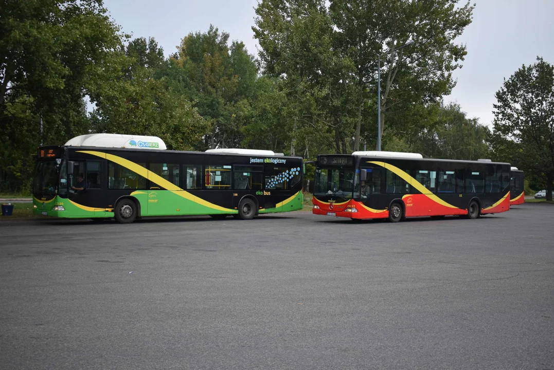 Pętla autobusowa przy Parzęczewskiej zostanie zamknięta. Utrudnienia dla pasażerów - Zdjęcie główne