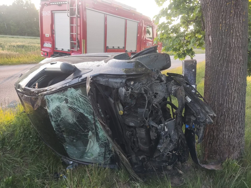 Wypadek w powiecie zgierskim. Samochód wjechał w drzewo - Zdjęcie główne