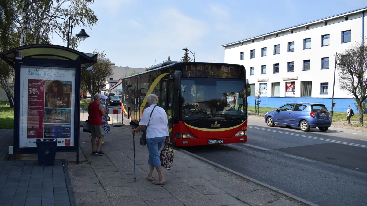 Niespodzianka na przystankach autobusowych w Zgierzu. Miasto oczami mieszkańców - Zdjęcie główne