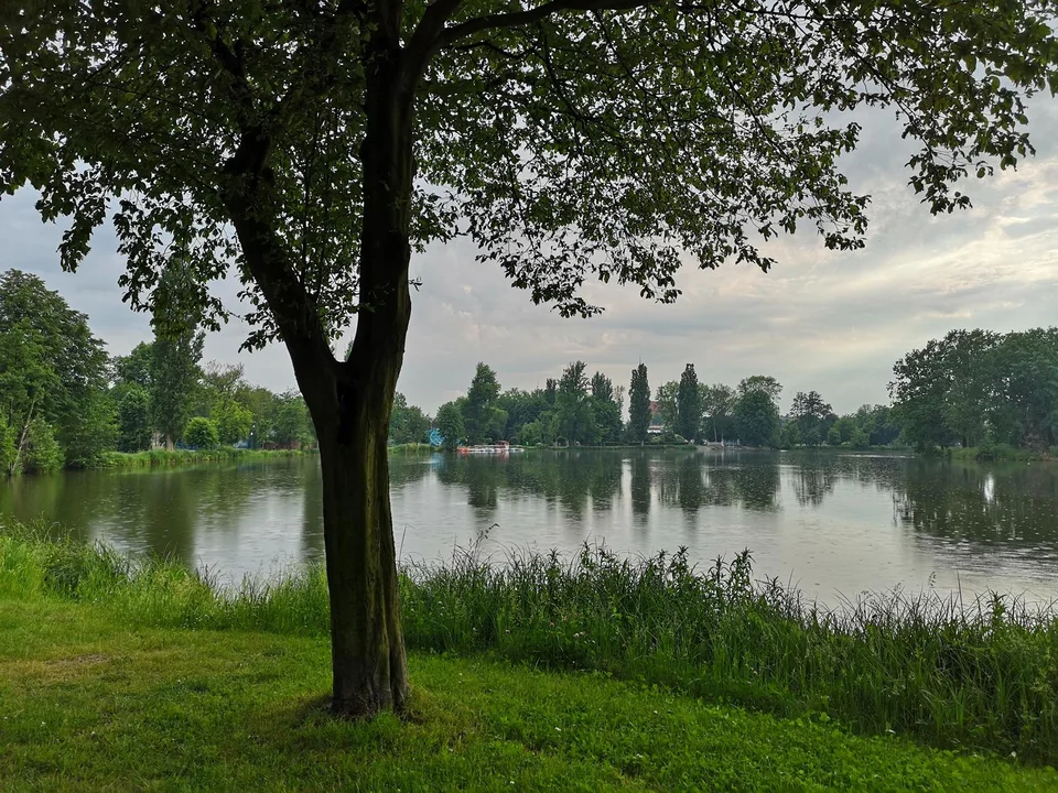 Zielona oaza w środku miasta. Park Miejski w Zgierzu zachęca do spacerów! [galeria]  - Zdjęcie główne