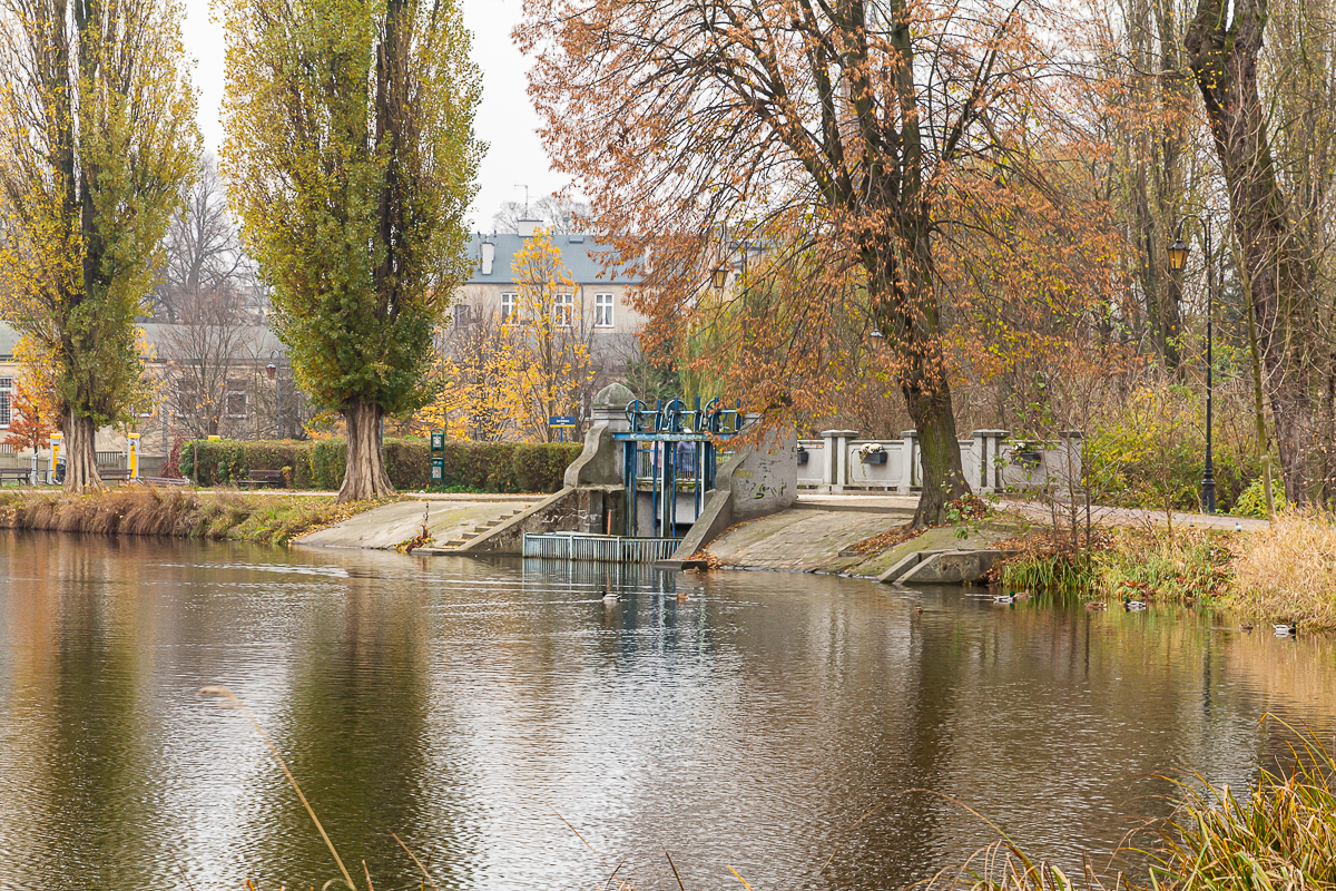 Park miejski im. Tadeusza Kościuszki zachwyca jesienią. Zobacz zdjęcia - Zdjęcie główne