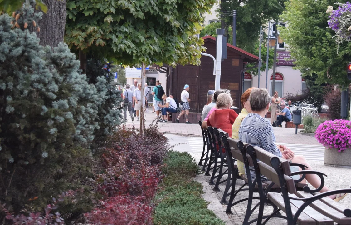 80. rocznica wybuchu Powstania Warszawskiego. W Zgierzu zawyły syreny… nikt nie wstał [ZDJĘCIA] - Zdjęcie główne