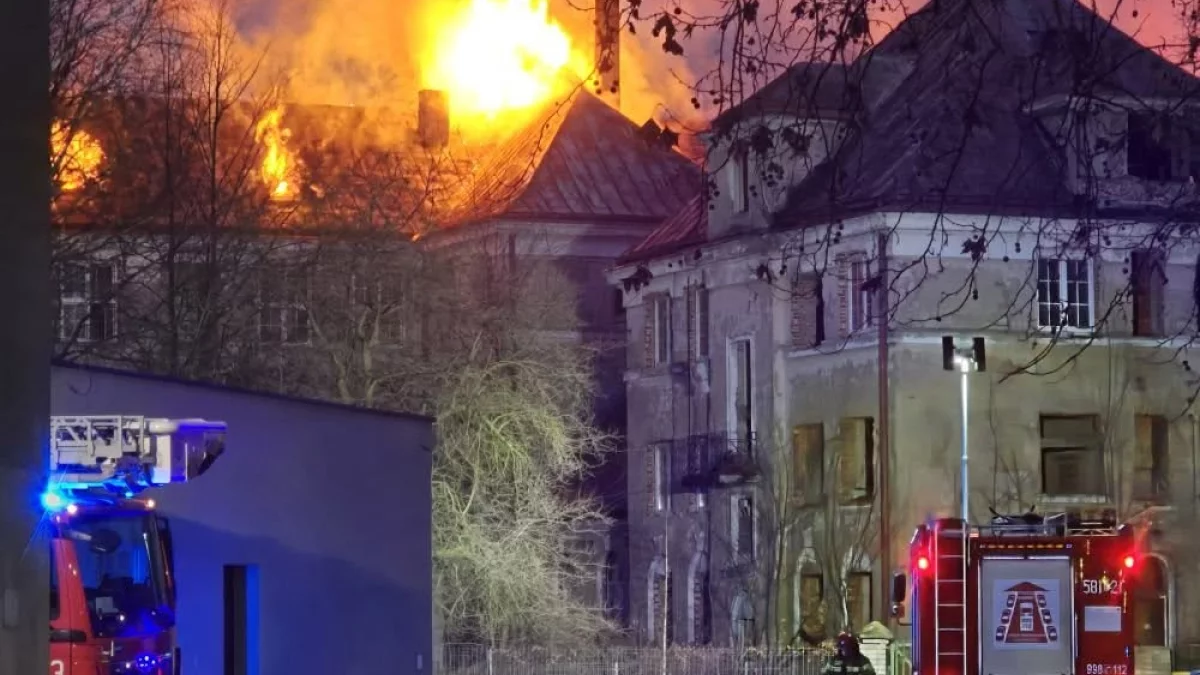 Pożar pod Łodzią. Płomienie widać z daleka! - Zdjęcie główne