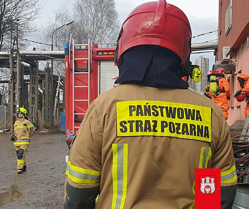 Śmierdzi gazem w całym Zgierzu! Na miejscu kilka wozów straży pożarnej - Zdjęcie główne