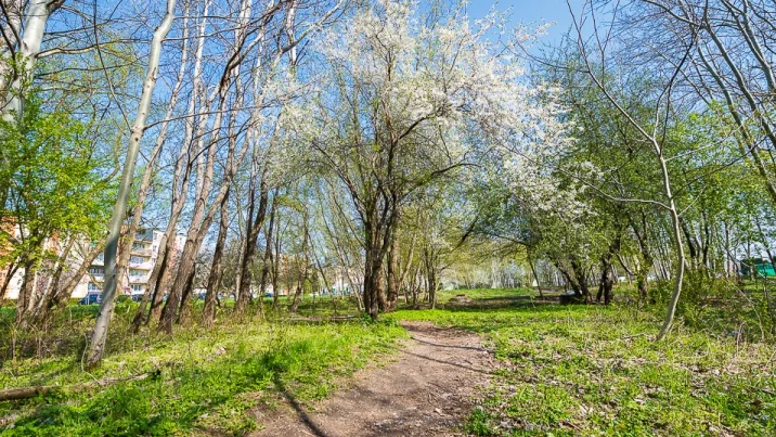 W Zgierzu powstanie nowy park. Mieszkańcy będą mieli więcej zieleni - Zdjęcie główne