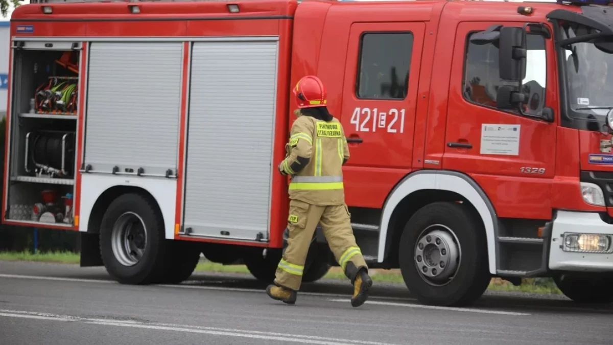 Pożar samochodu na S14. Droga zablokowana - Zdjęcie główne