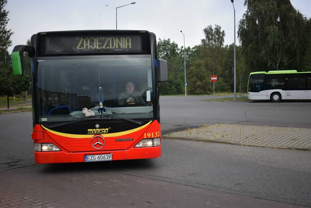 Zgierz. UMZ zapowiada publikację wyników konsultacji ws. miejskiego transportu - Zdjęcie główne