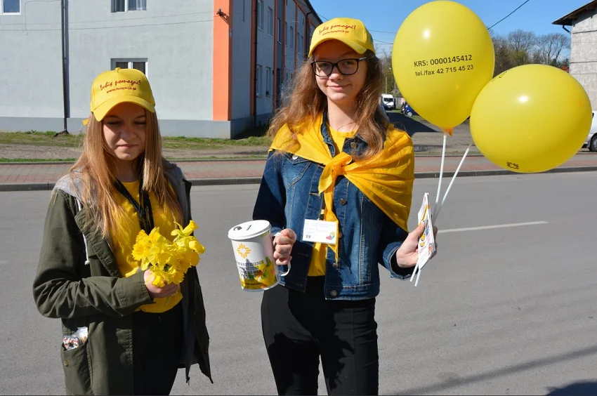 Żonkil za datek na rzecz zgierskiego hospicjum. Zakończyła się kolejna edycja akcji Żółte Pola Nadziei. - Zdjęcie główne