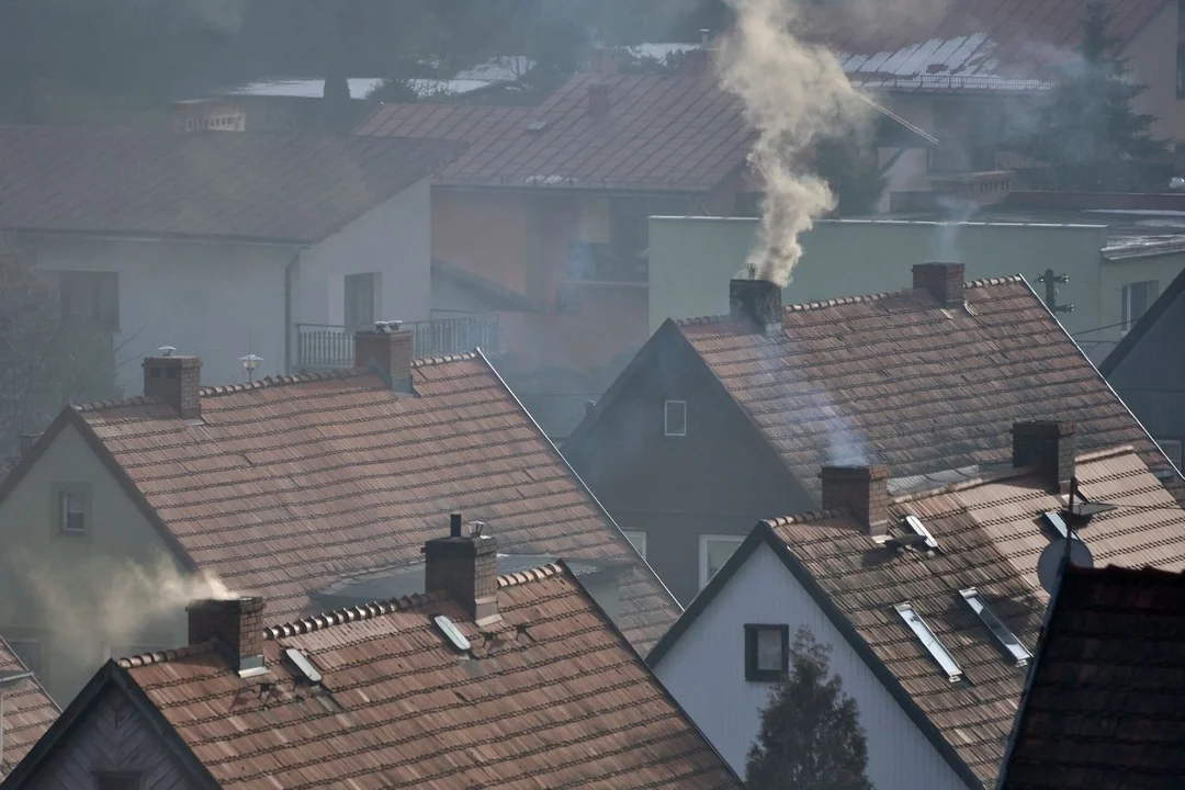 Można palić wszystkim poza oponami? Straż Miejska w Zgierzu rozwiewa wątpliwości - Zdjęcie główne