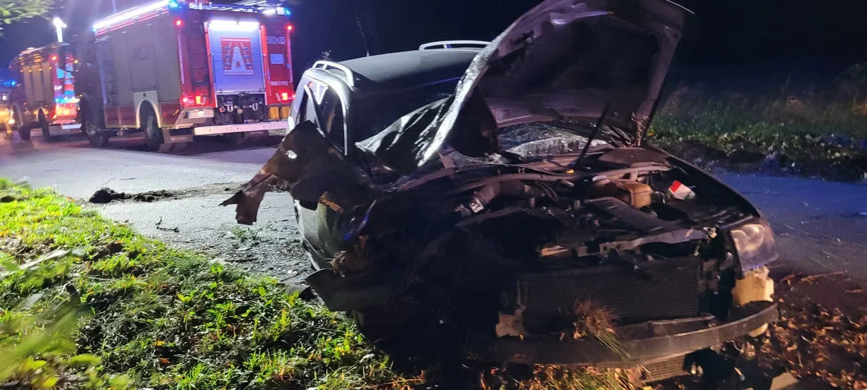 Trzylatka walczy o życie szpitalu. Jej matka, która spowodowała wypadek po pijaku, trafiła za kraty! - Zdjęcie główne