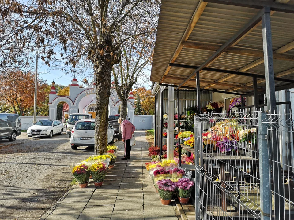 Zgierzanie przygotowują się do zakupów na Wszystkich Świętych. „Taniej na pewno nie będzie” - Zdjęcie główne