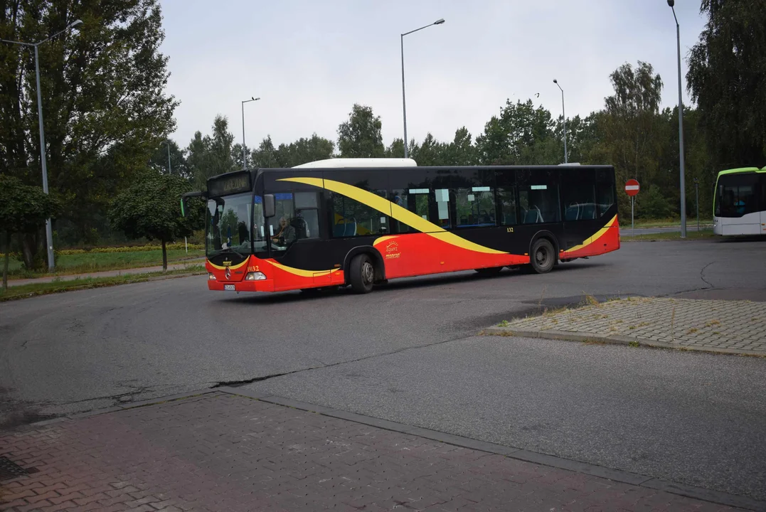 Zmiany w kursowaniu autobusu MUK Zgierz. Zobaczcie nowy rozkład jazdy [GALERIA] - Zdjęcie główne