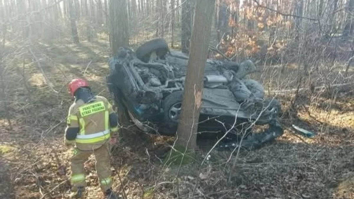 Wypadek niedaleko Zgierza. Nastolatka trafiła do szpitala - Zdjęcie główne